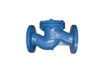 Check Valve