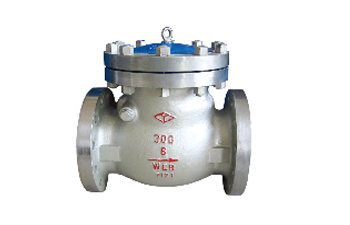 Swing Check Valve