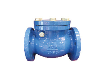 DIN Swing Check Valve