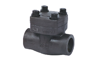 Check Valve