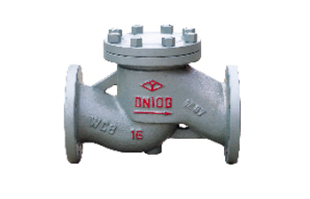 DIN Lift Check Valve