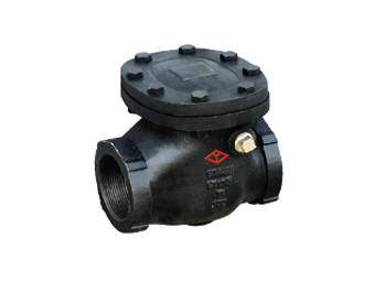 Check Valve