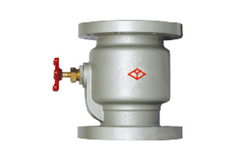 Vertical Check Valve