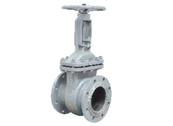 Cast Steel and Stainless Steel Gate Valve