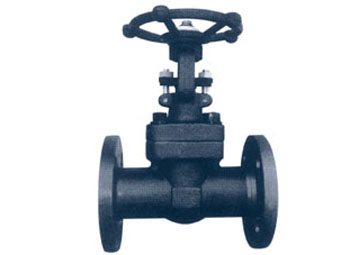 Forged Steel Gate Valve