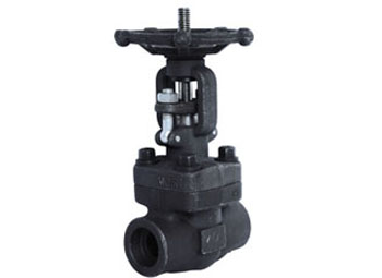 Forged Steel Gate Valve