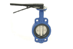 Butterfly valve