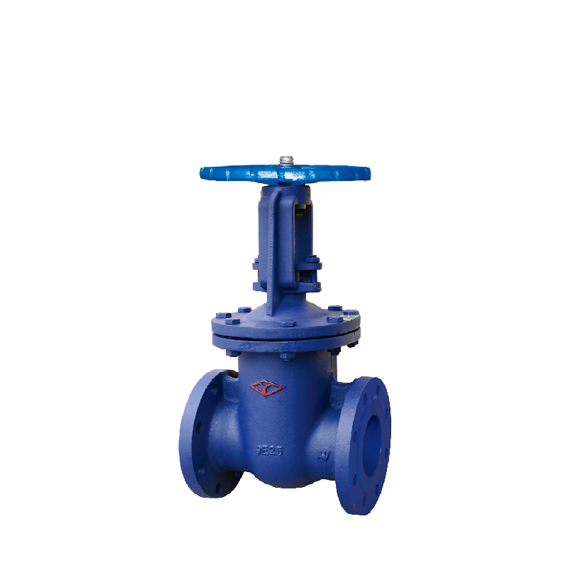 16 kg rising stem wedge gate valve (steel) - Yuanda valve