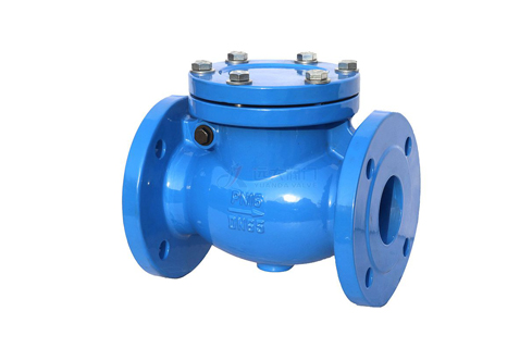 Check Valve