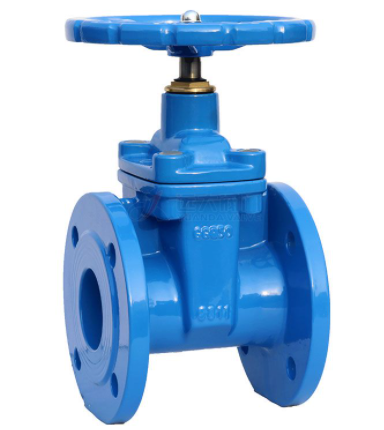 Gate Valve