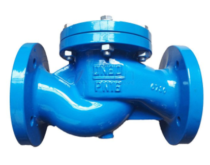 DIN Cast Iron Check Valve