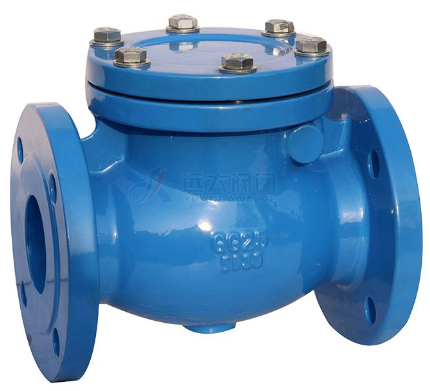 DIN Cast Iron check valve