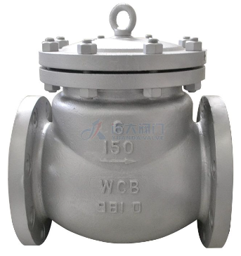 Swing and Lift Check Valve
