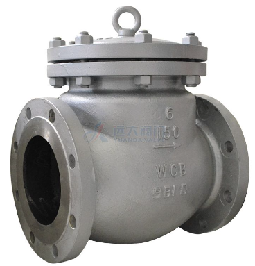 Swing and Lift Check Valve