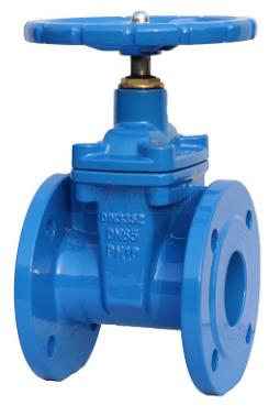 DIN cast iron resilient bolted stem gate valve