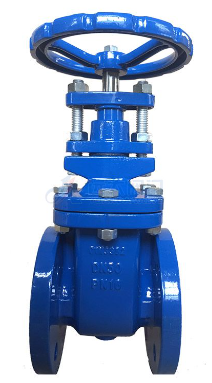 Cast Iron Gate Valve