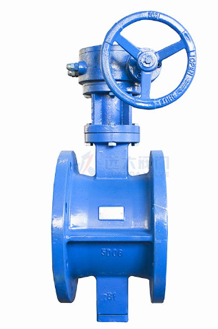 Butterfly Valve