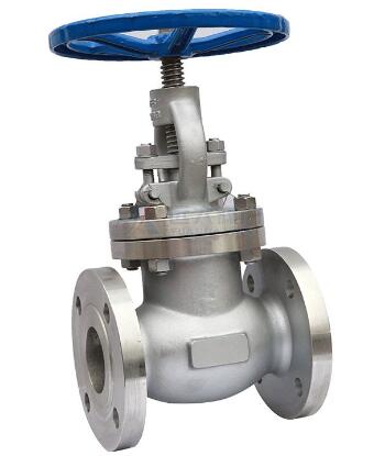 Stainless steel globe valve