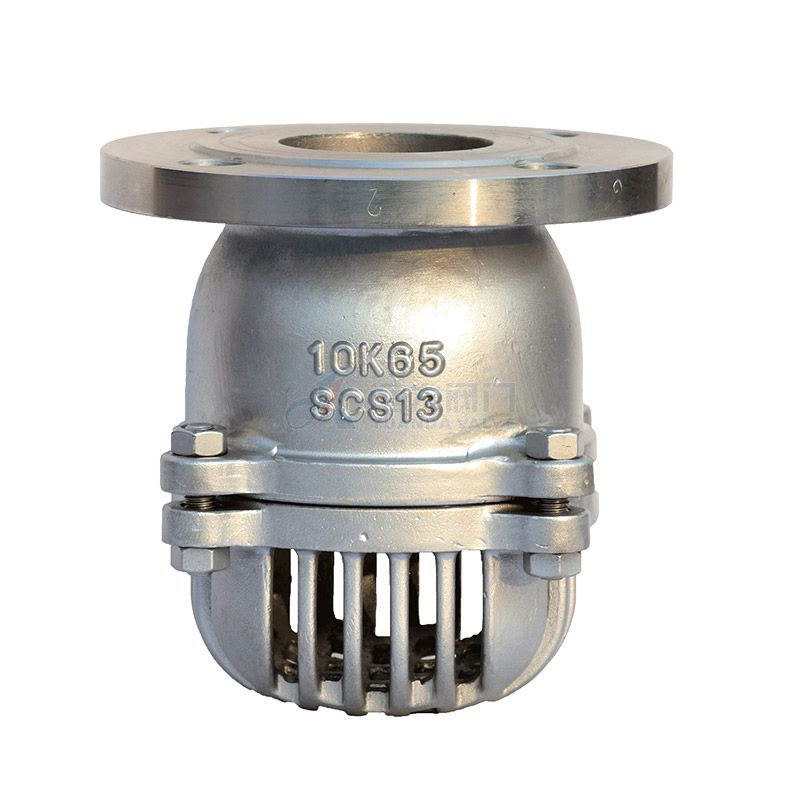 Why Foot Valves Matter in Pumping Systems