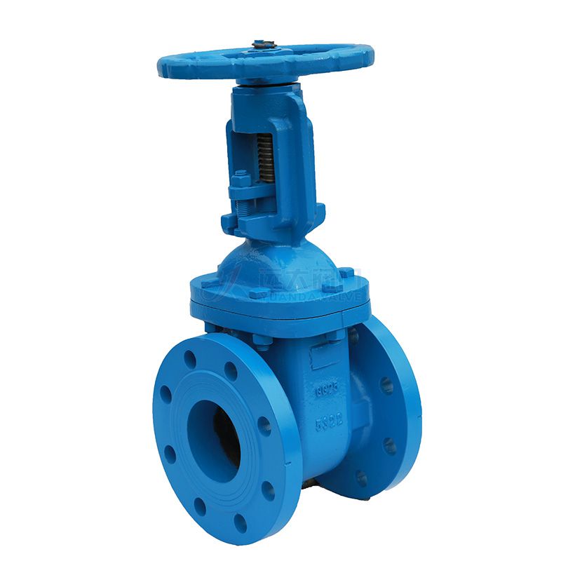 DIN Cast Iron Rising-Stem Gate Valve - Yuanda valve