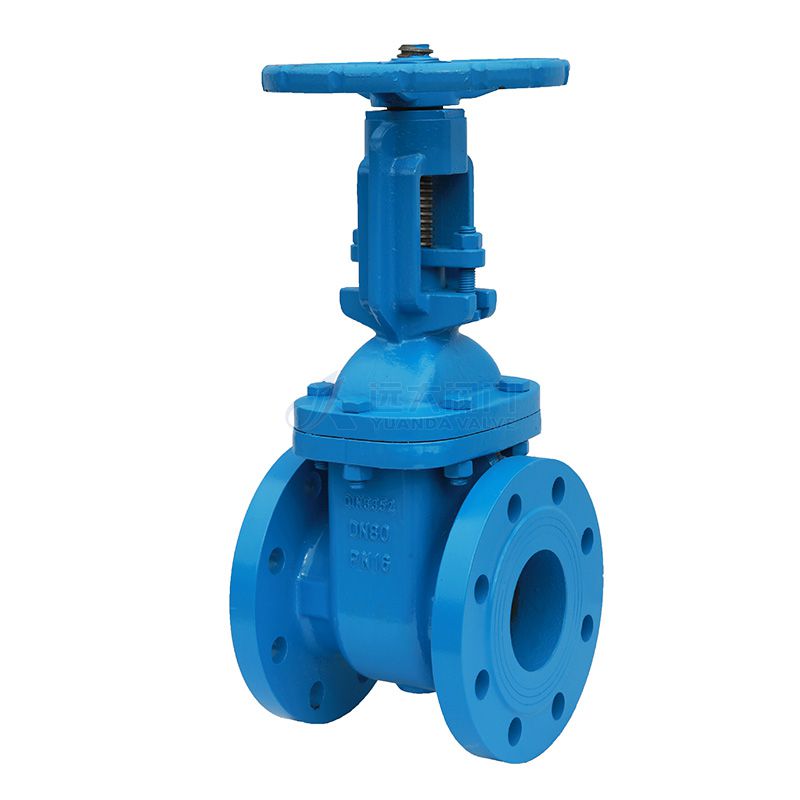 DIN Cast Iron Rising-Stem Gate Valve - Yuanda valve