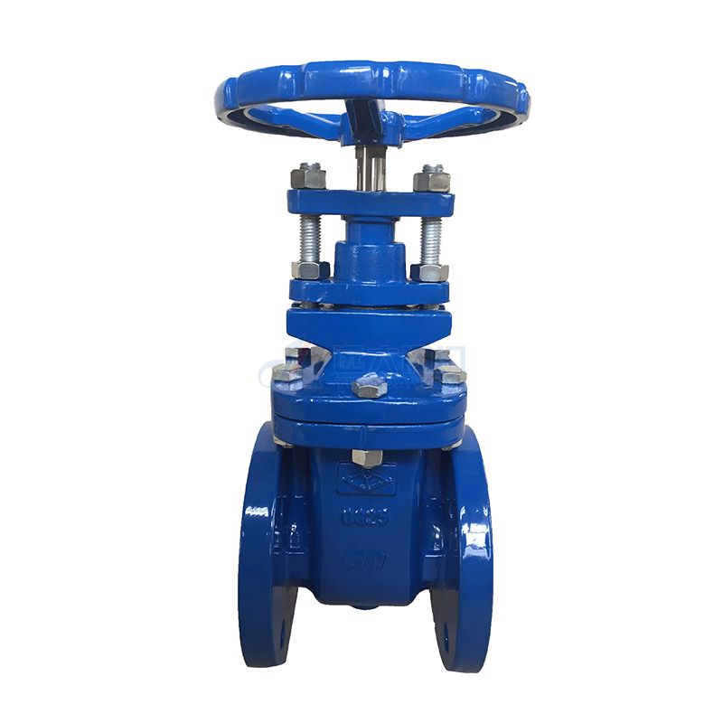 DIN Cast Iron Non Rising-Stem Gate Valve-YuandaValve