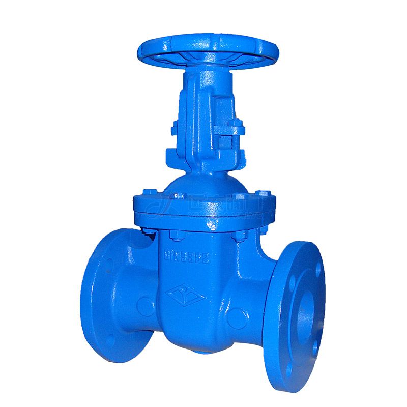 DIN F5 Cast Iron Rising-Stem Gate Valve-YuandaValve