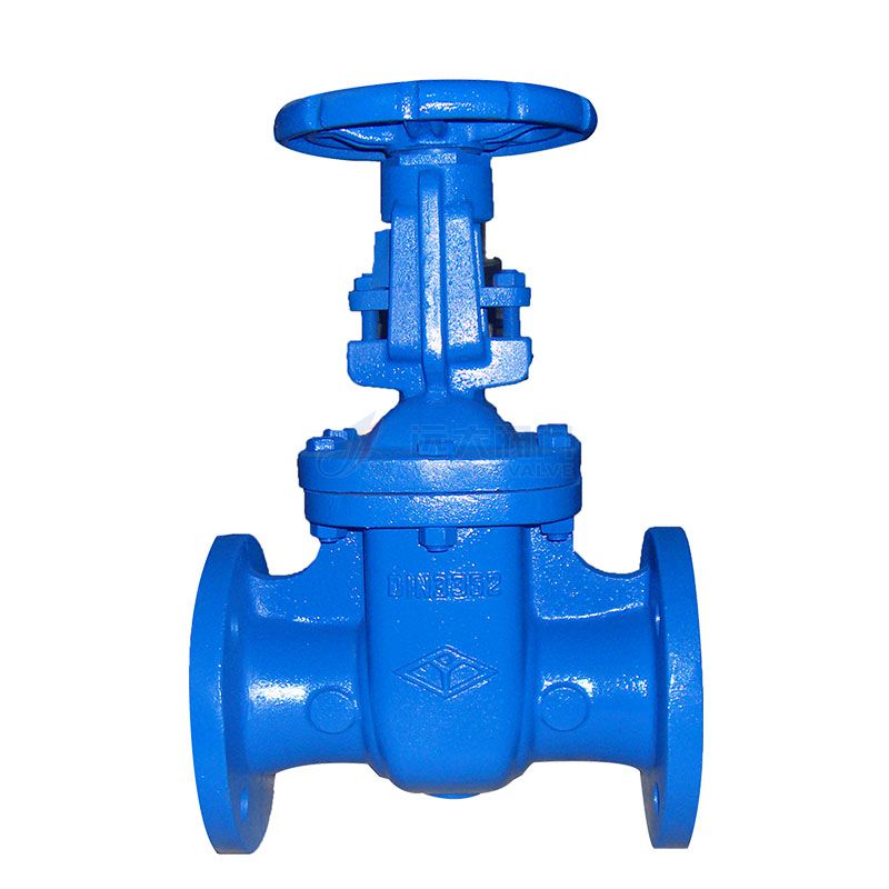 DIN F5 Cast Iron Rising-Stem Gate Valve-YuandaValve