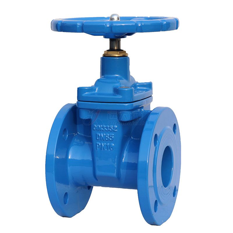 DIN cast iron resilient bolted stem gate valve -Yuanda valve