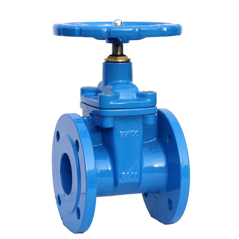 DIN cast iron resilient bolted stem gate valve -Yuanda valve