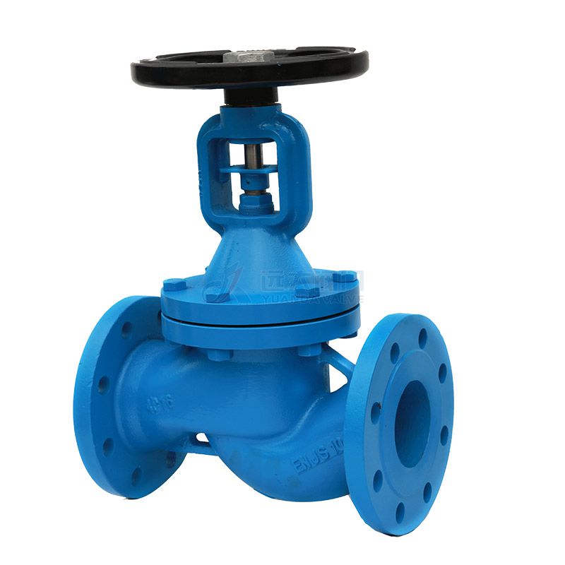 Bellows Globe Valve