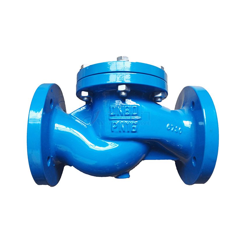 DIN Cast Iron check valve - Yuanda valve