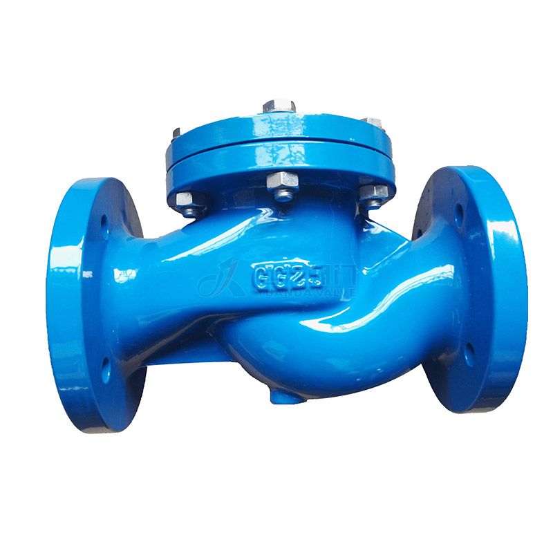 DIN Cast Iron check valve - Yuanda valve