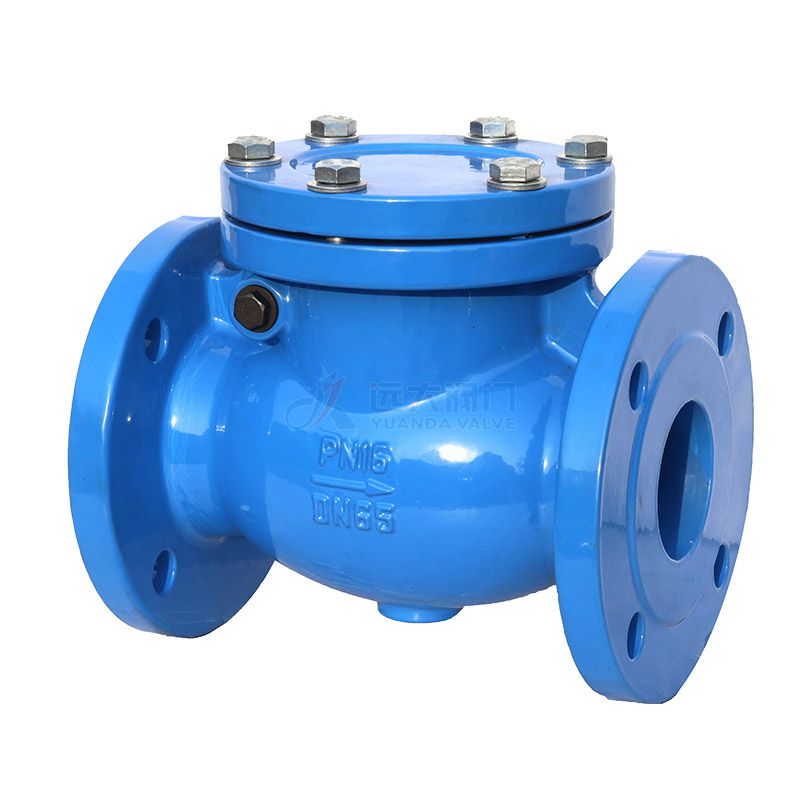 DIN Cast Iron check valve H44H-16 - Yuanda valve