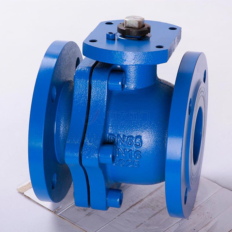 DIN Cast Iron check valve Q41F-16 - Yuanda valve