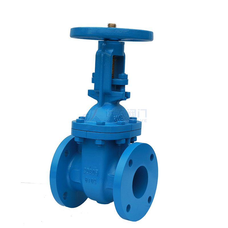 ANSI Cast Iron Rising Stem Gate Valve