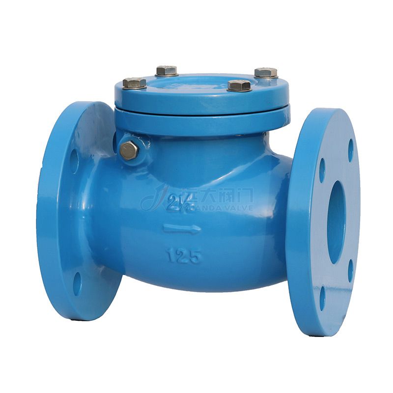 ANSI Cast Iron Swing Check Valve