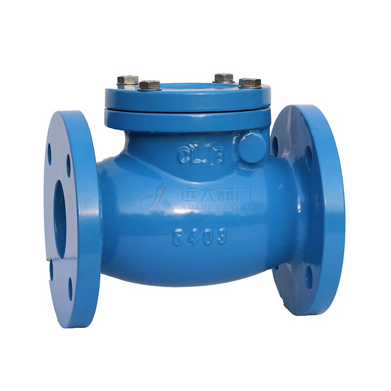 Cast Iron Swing Check Valve