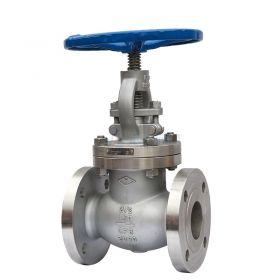 API Stainless Steel Globe Valves