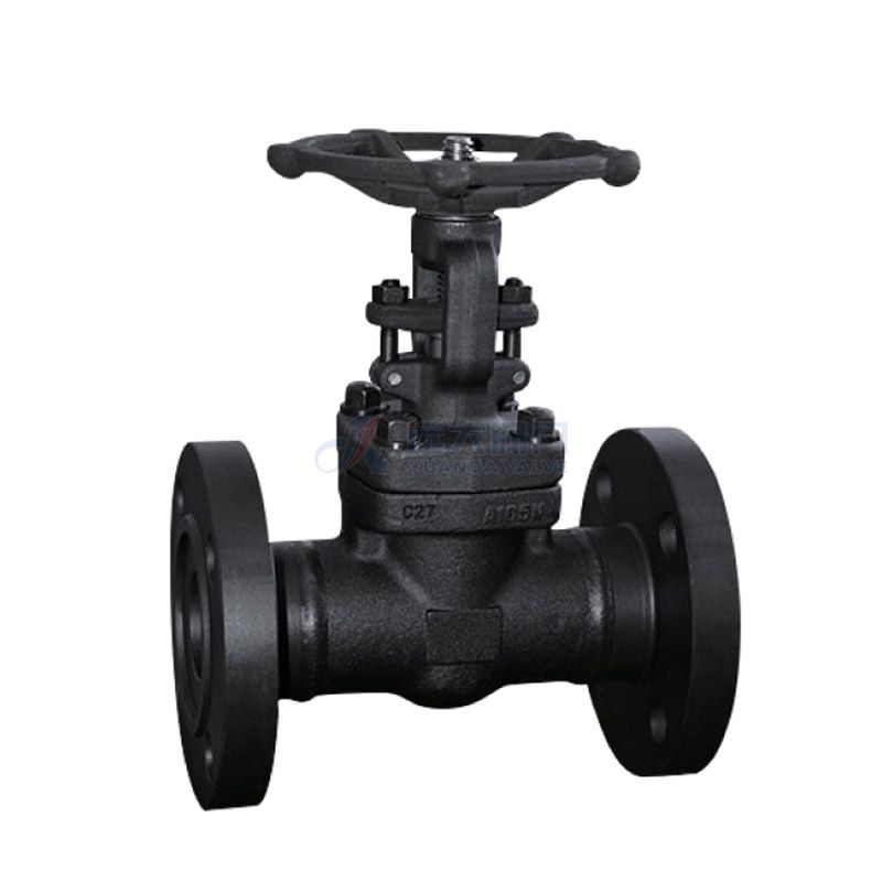 API602 Forged steel Gate valve 800#