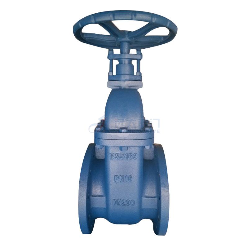 BS5163 Cast Iron Non-rising Stem Gate Valve