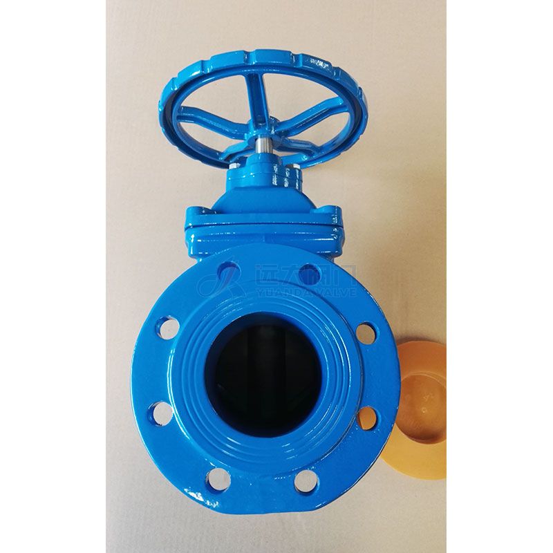 BS5163 DI Non-rising Stem Resilient Gate Valve