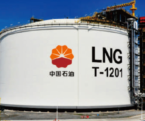 China Petroleum Engineering Construction Co., Ltd.