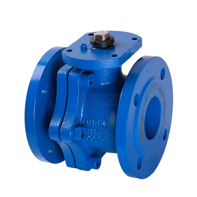 DIN Cast Iron check valve Q41F-16 - Yuanda valve