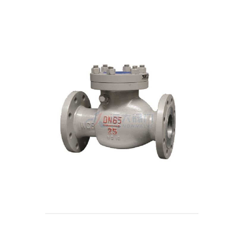 Cast steel swing check valve - Yuanda valve