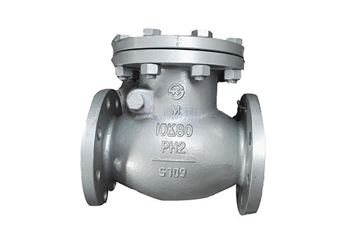 Check Valve Maintenance Guide: How to Keep Your Check Valves in Top Condition