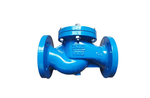 Check Valve Maintenance Overview