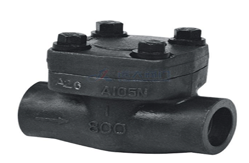 Common Types Of Check Valves