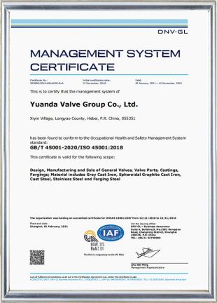 OCCUPATIONAL HEALTH AND SAFETY MANAGEMENT SYSTEM CERTIFICATION