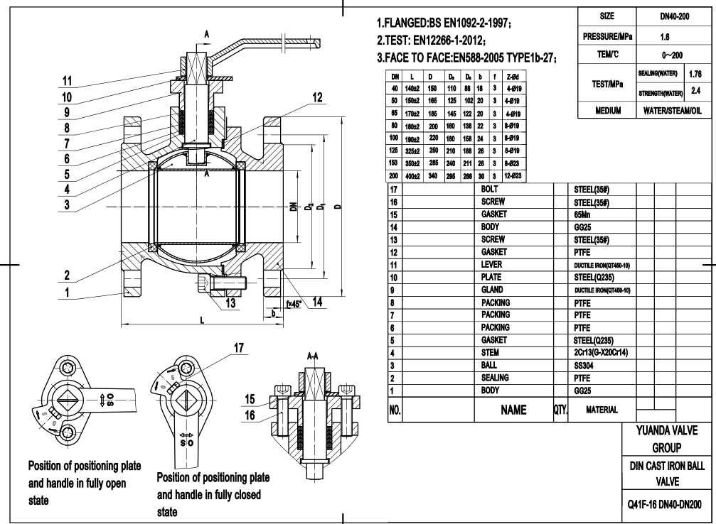 DIN Cast Iron check valve Q41F-16